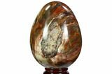 Colorful, Polished Petrified Wood Egg - Triassic #107399-1